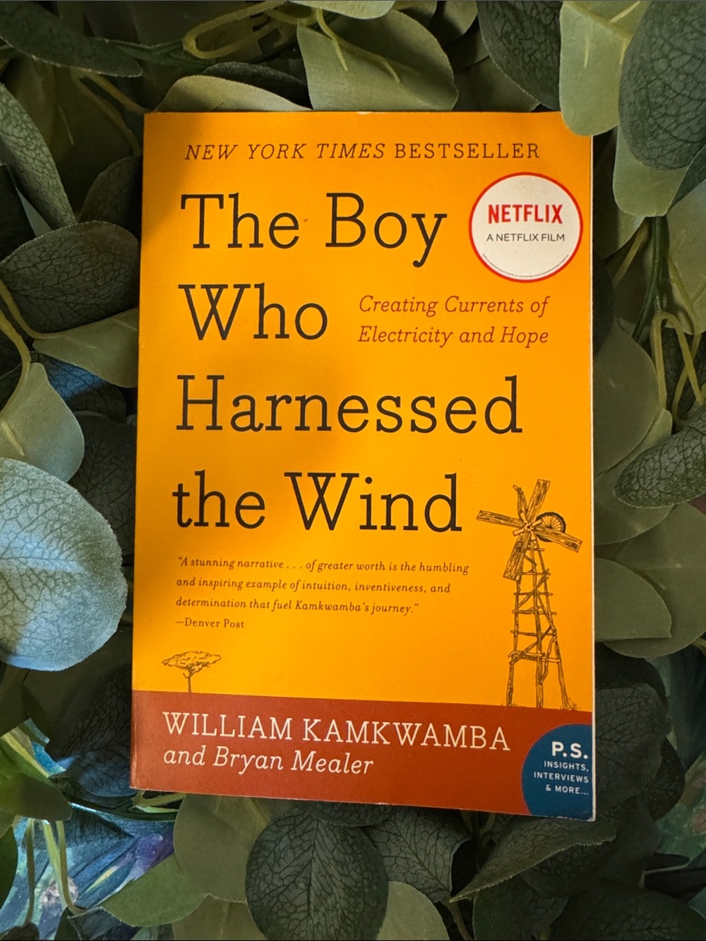 The Boy Who Harnessed the Wind by William Kamkwamba